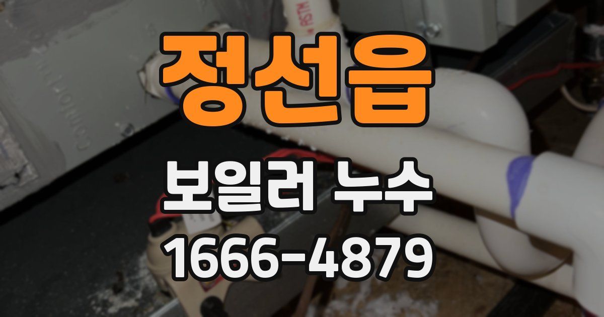 정선읍 보일러 누수