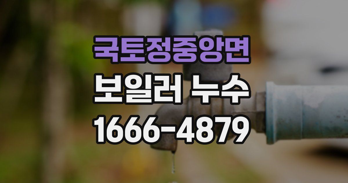 국토정중앙면 보일러 누수