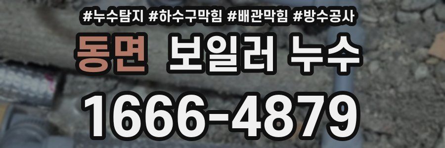 동면 보일러 누수