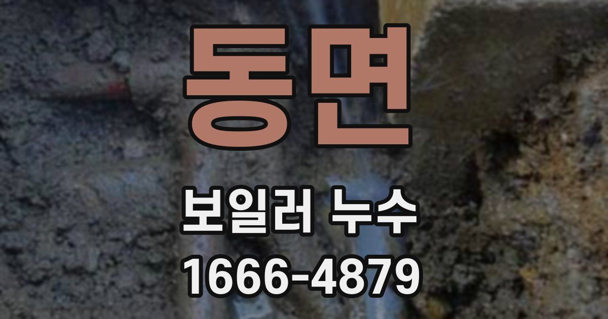 동면 보일러 누수