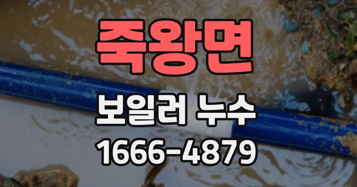 죽왕면 보일러 누수