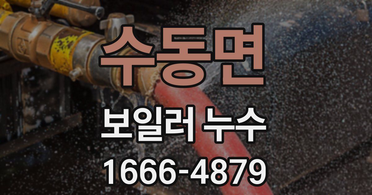 수동면 보일러 누수