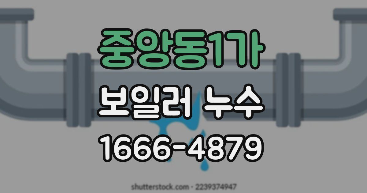 중앙동1가 보일러 누수