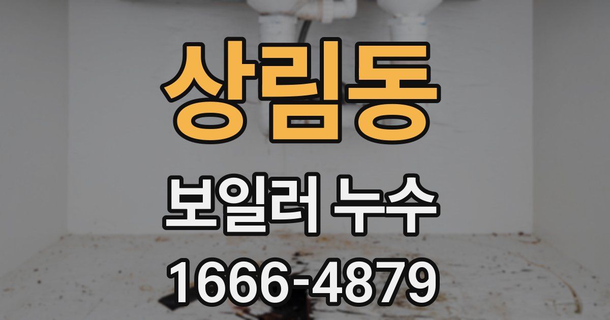 상림동 보일러 누수