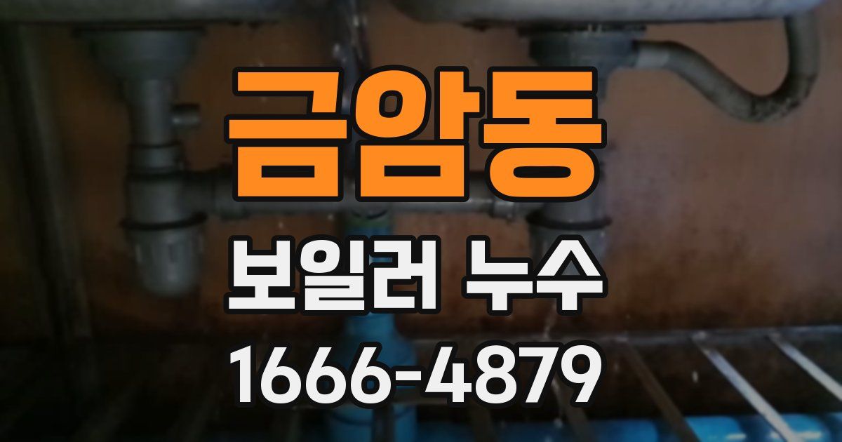 금암동 보일러 누수