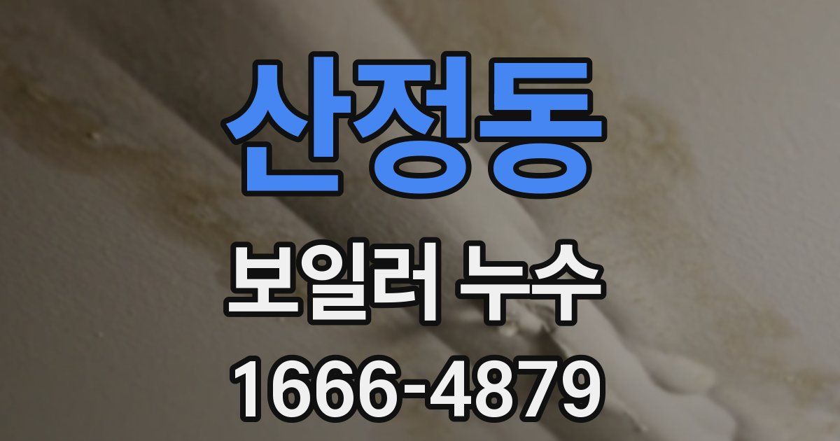 산정동 보일러 누수
