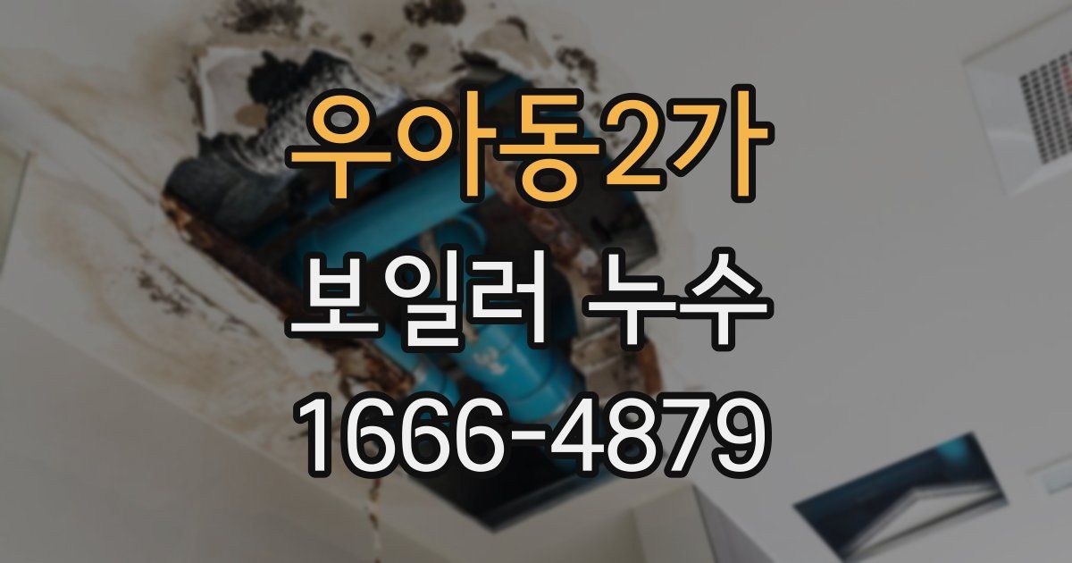 우아동2가 보일러 누수