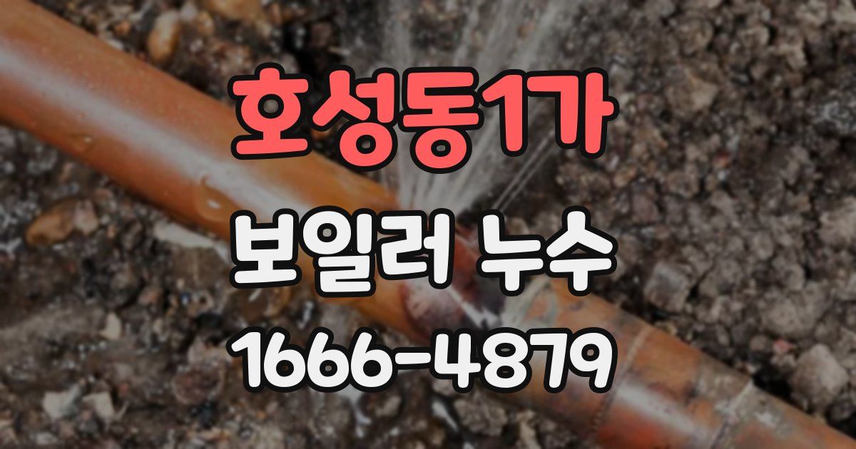 호성동1가 보일러 누수