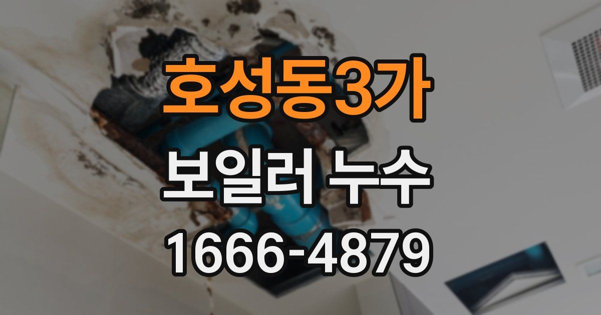 호성동3가 보일러 누수