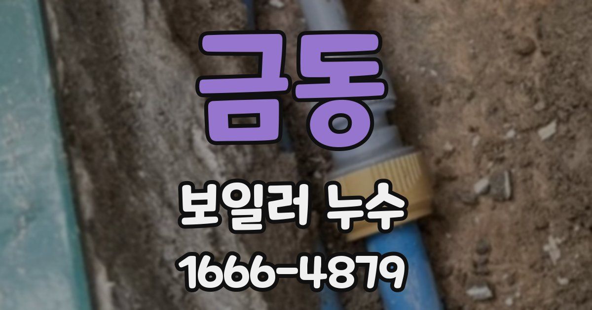 금동 보일러 누수