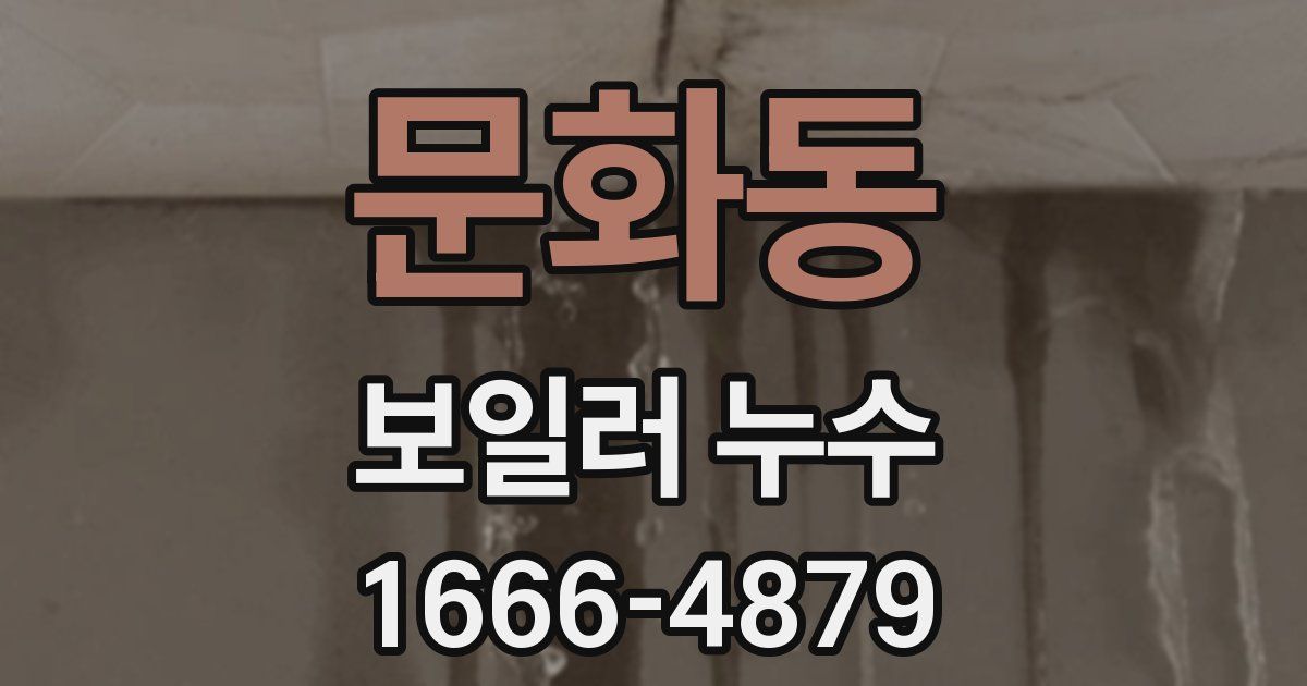 문화동 보일러 누수