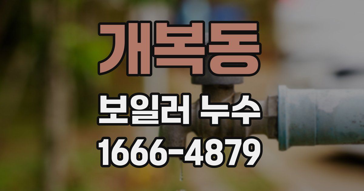개복동 보일러 누수