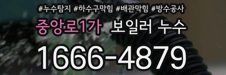 중앙로1가 보일러 누수