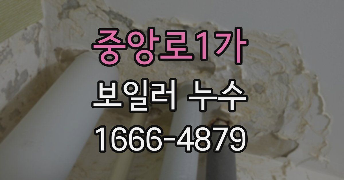 중앙로1가 보일러 누수
