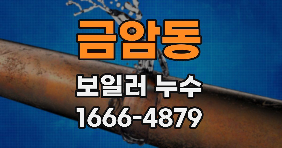 금암동 보일러 누수