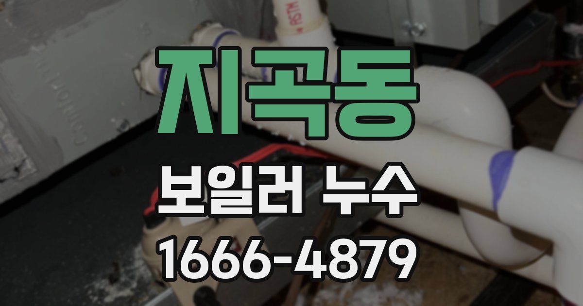 지곡동 보일러 누수