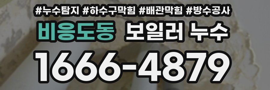 비응도동 보일러 누수