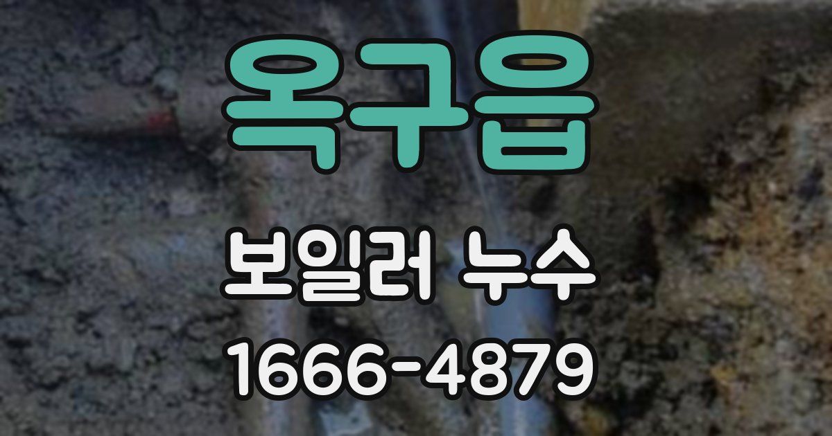 옥구읍 보일러 누수