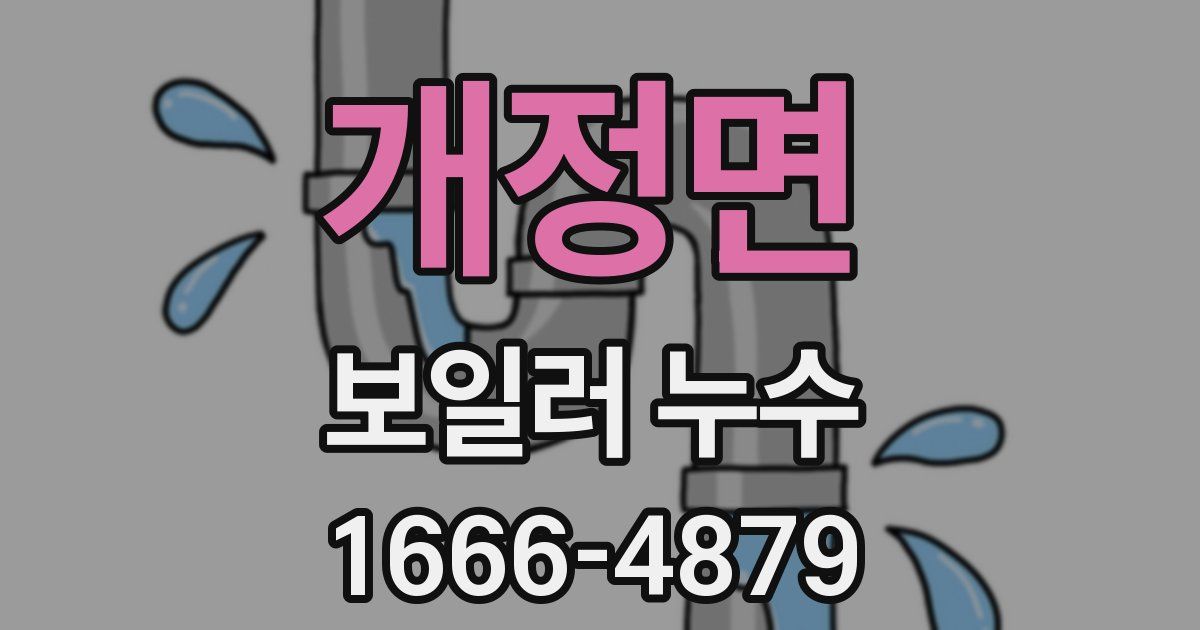 개정면 보일러 누수