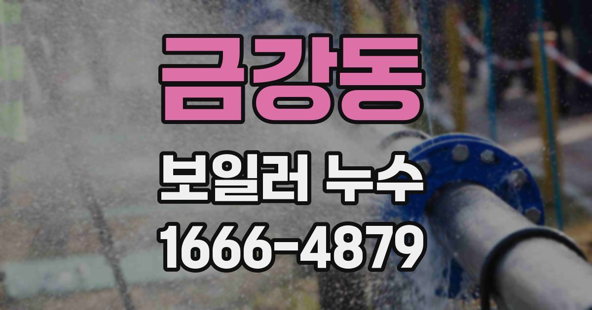 금강동 보일러 누수