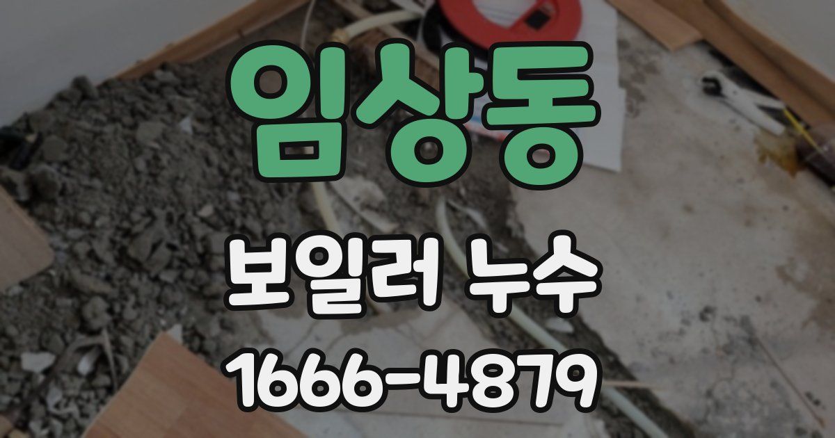임상동 보일러 누수