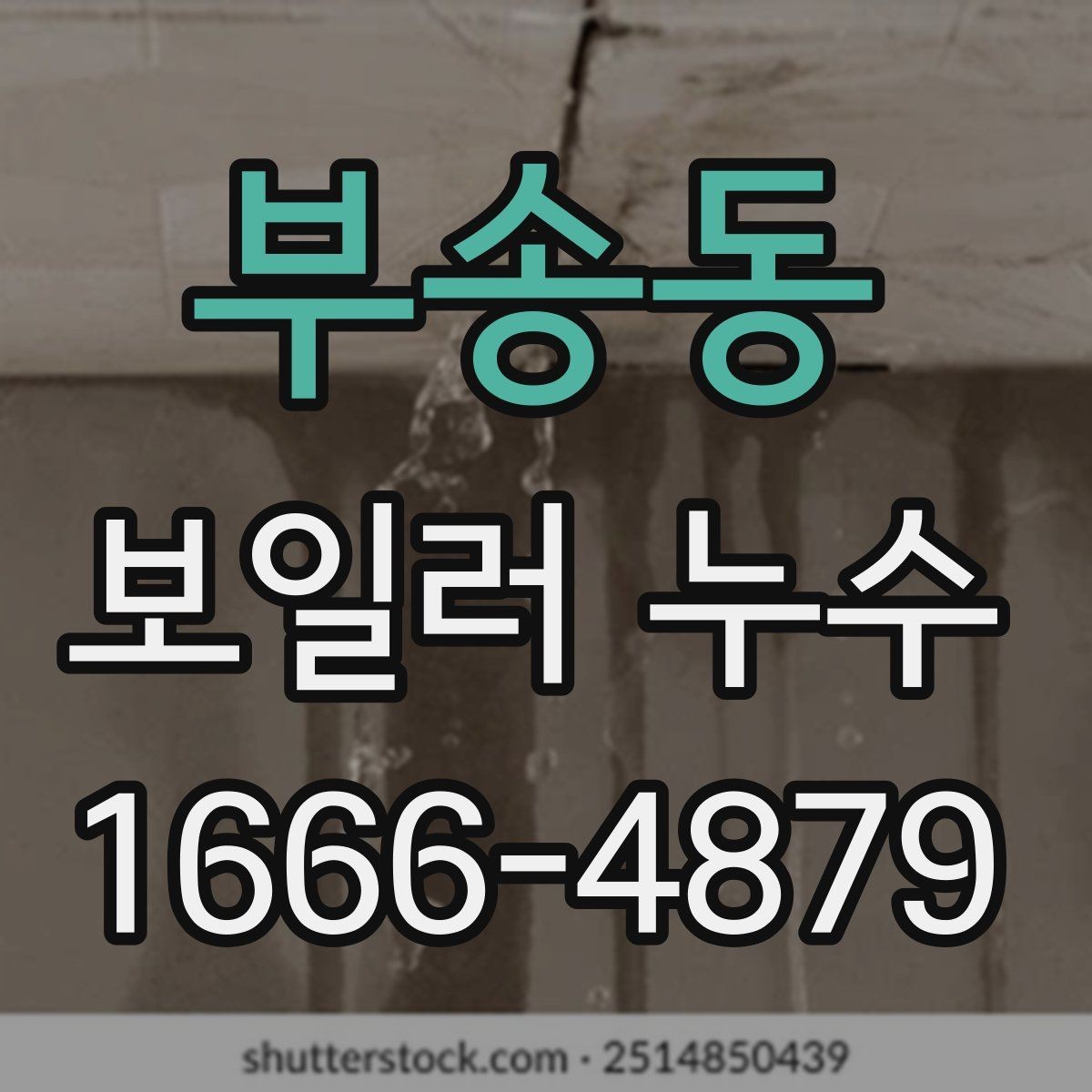 부송동 보일러 누수 수리 전에 사진으로 남길 부분