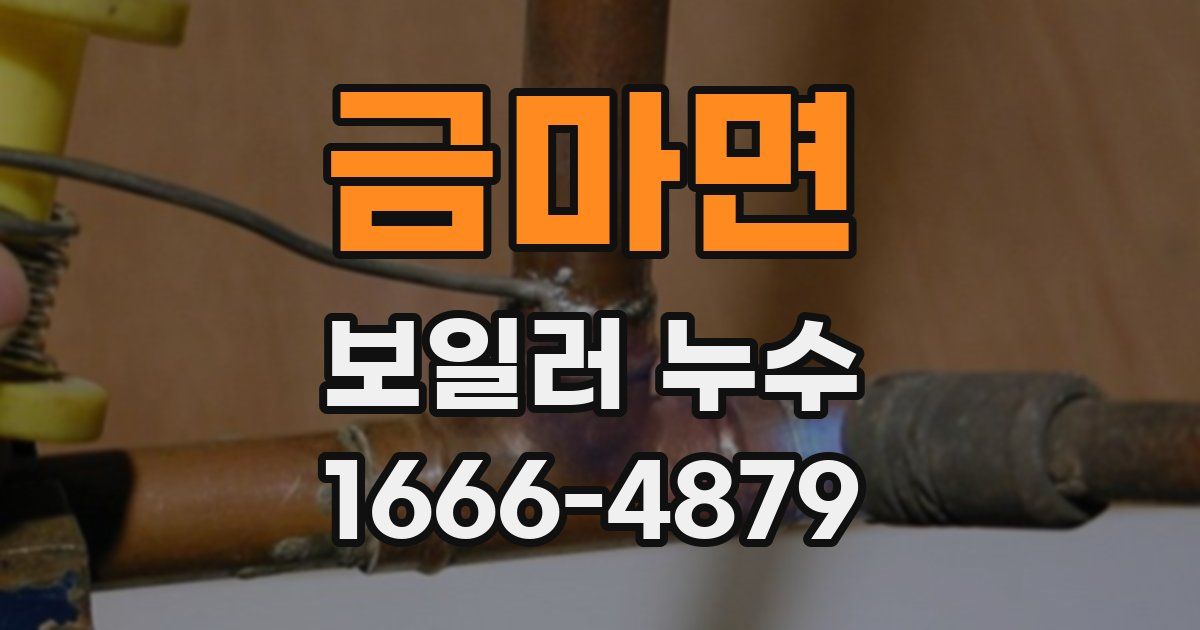 금마면 보일러 누수