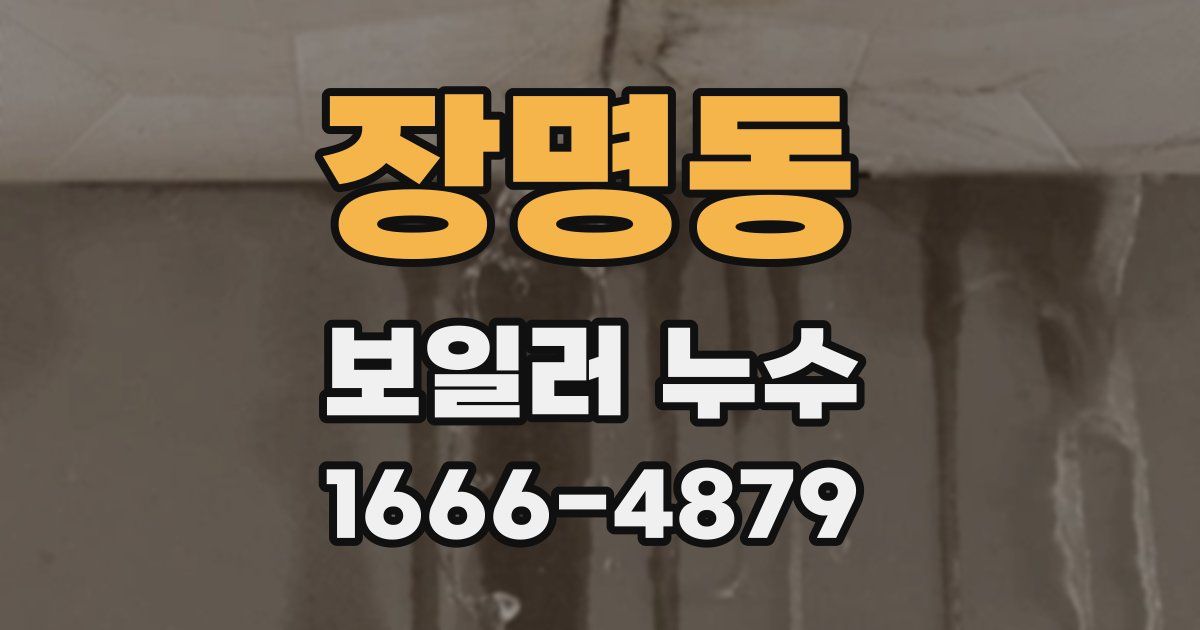 장명동 보일러 누수