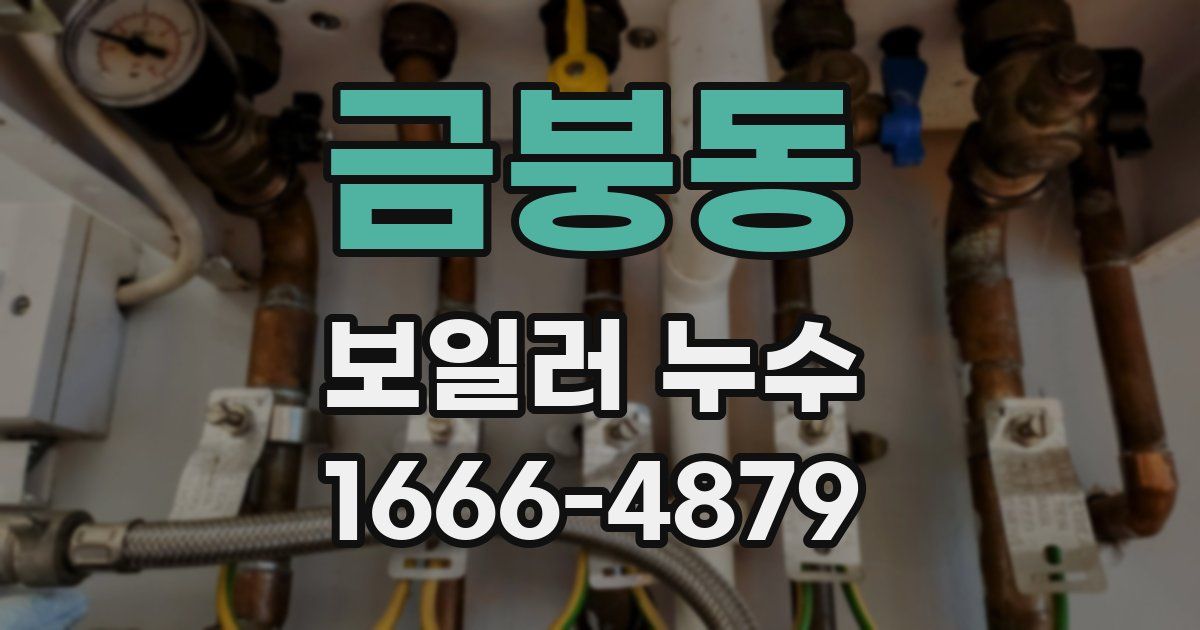 금붕동 보일러 누수
