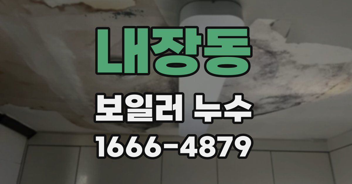 내장동 보일러 누수