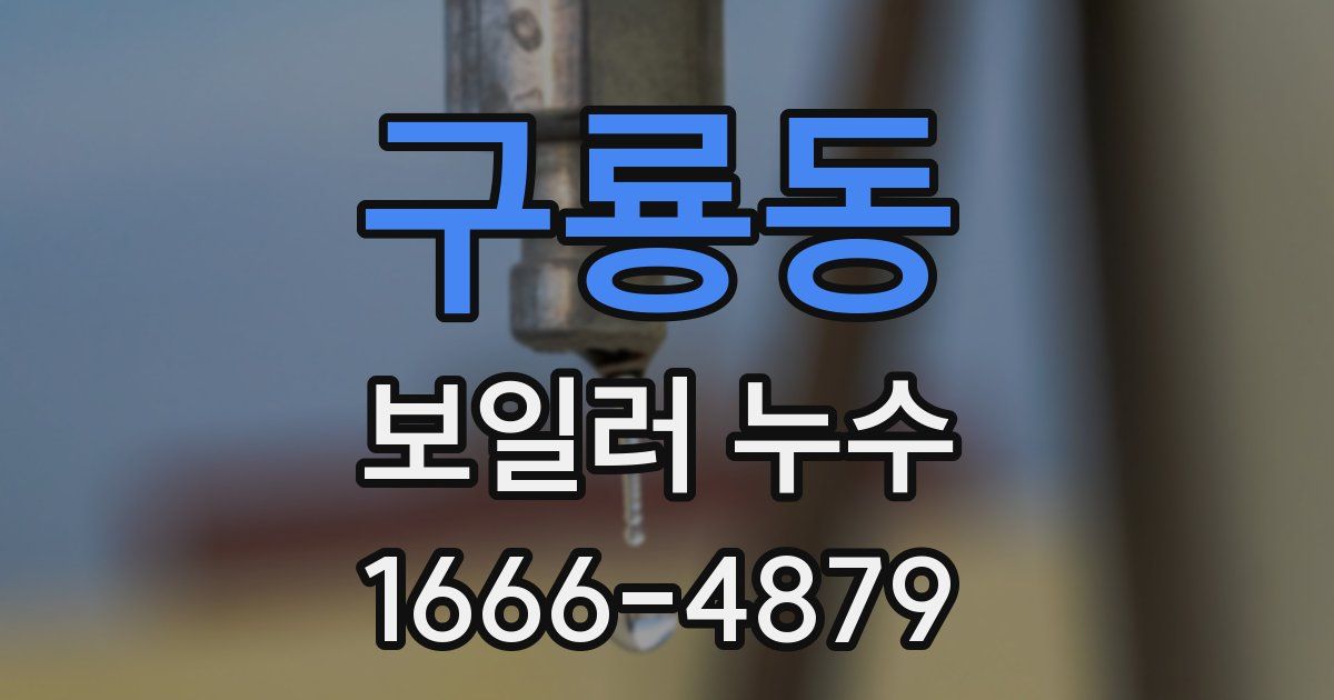 구룡동 보일러 누수