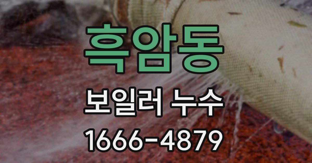 흑암동 보일러 누수