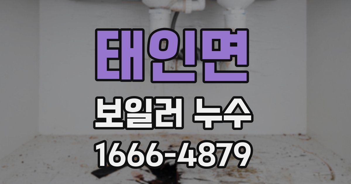 태인면 보일러 누수