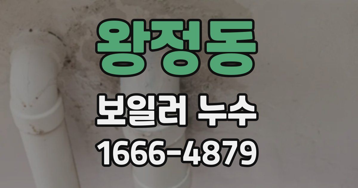 왕정동 보일러 누수
