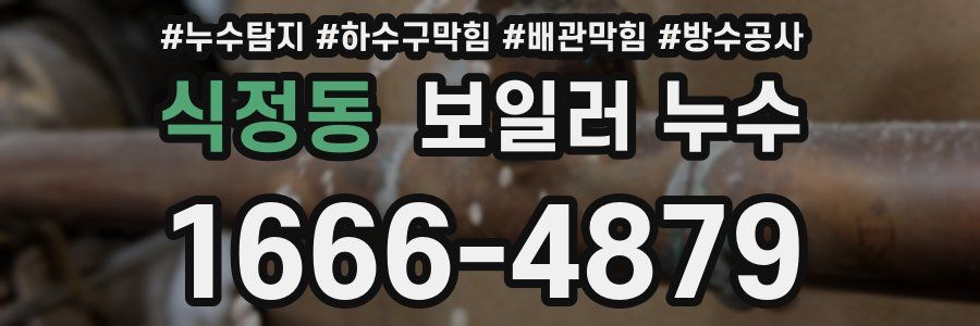 식정동 보일러 누수