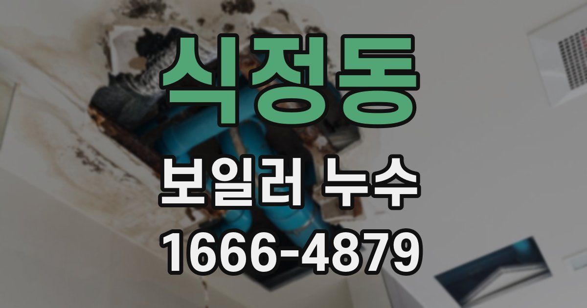 식정동 보일러 누수