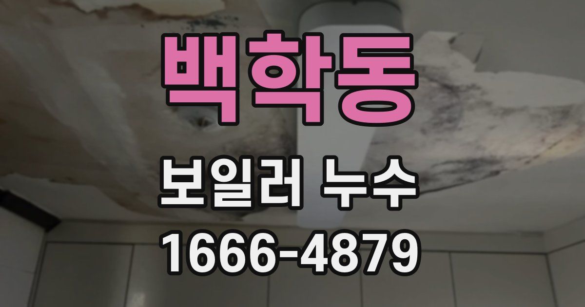 백학동 보일러 누수