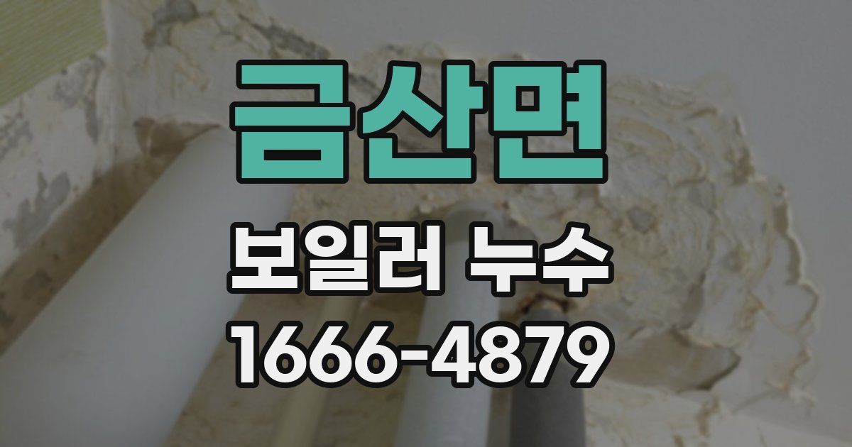 금산면 보일러 누수