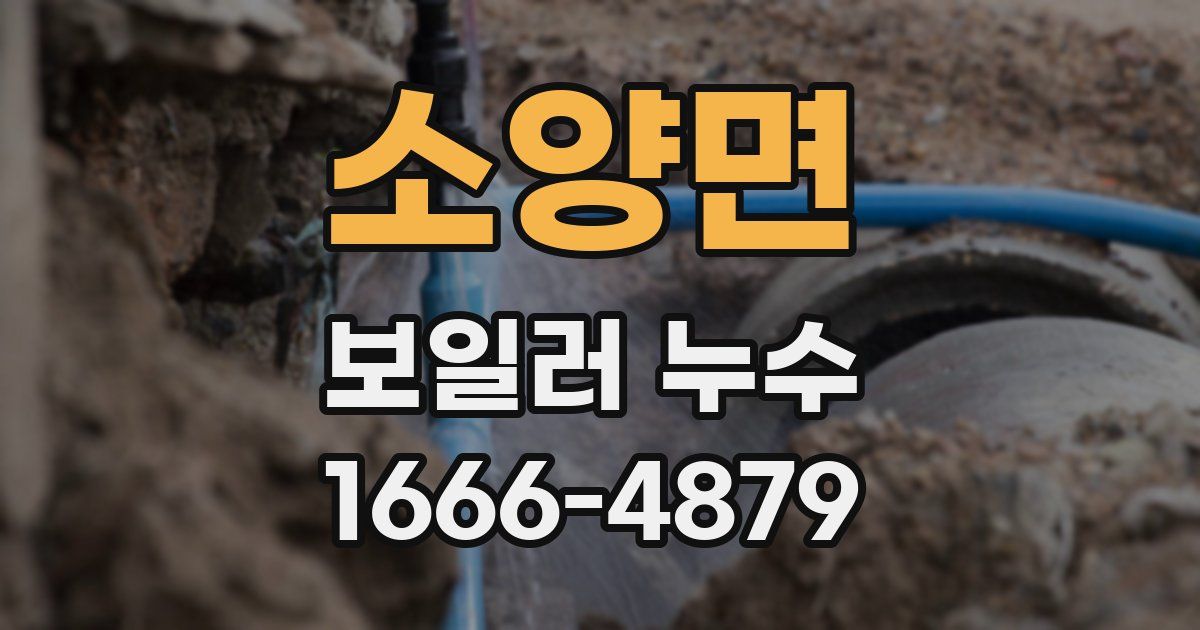 소양면 보일러 누수