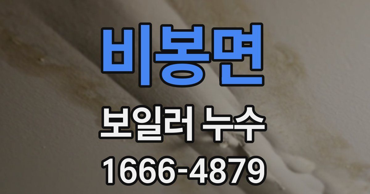 비봉면 보일러 누수