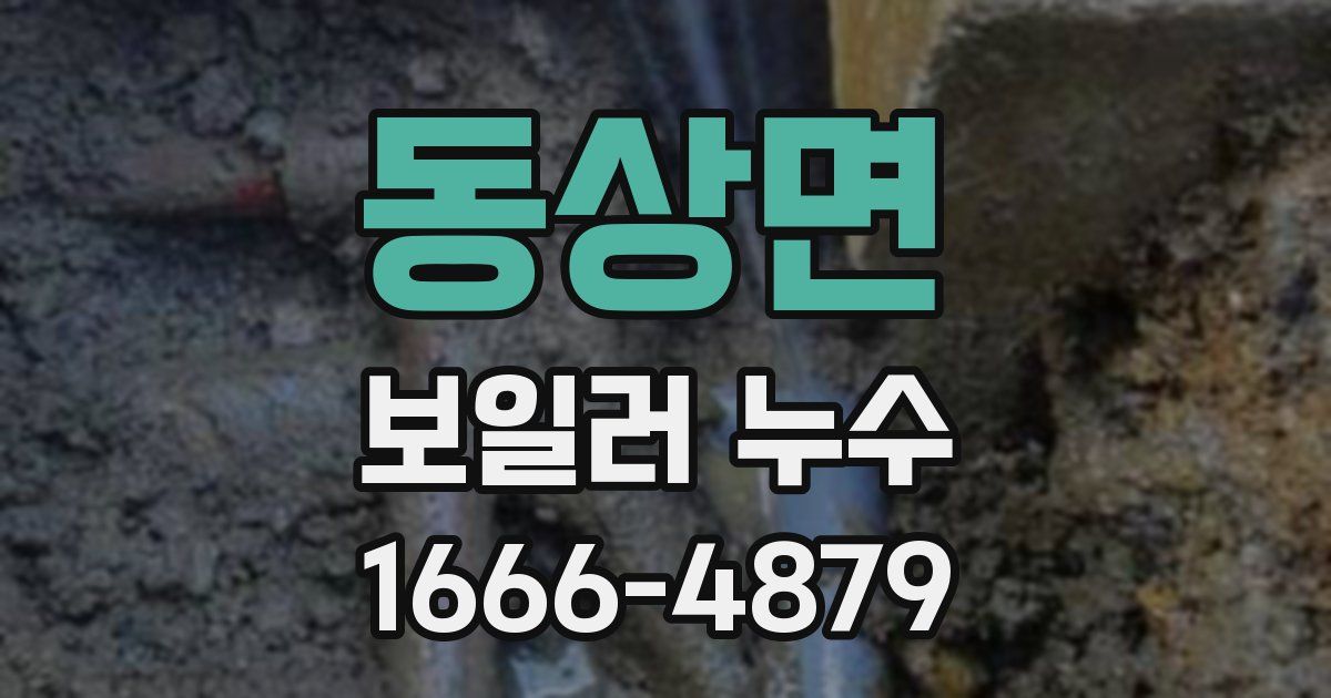 동상면 보일러 누수