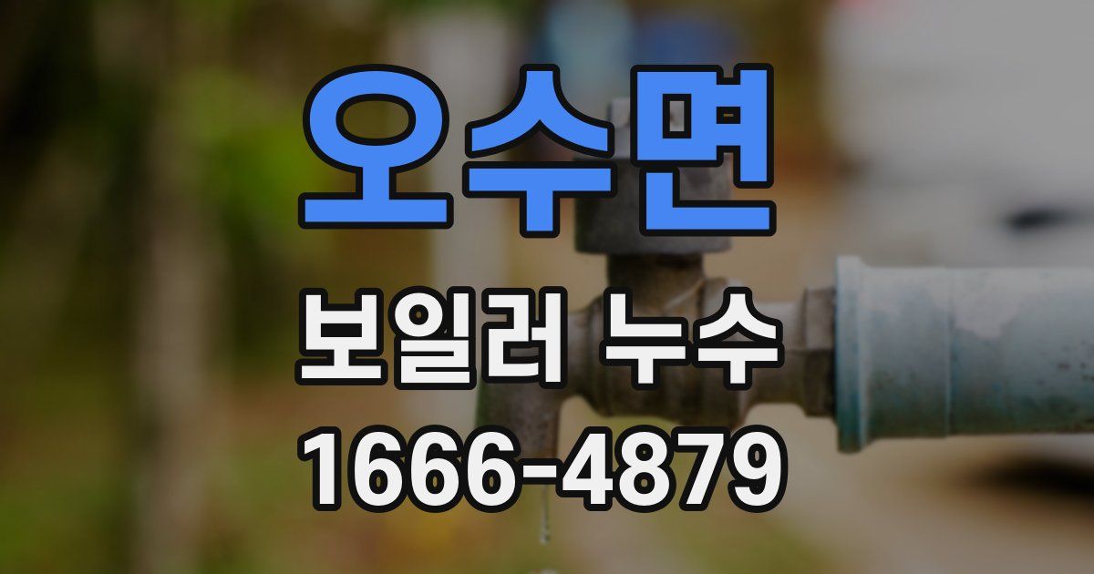 오수면 보일러 누수