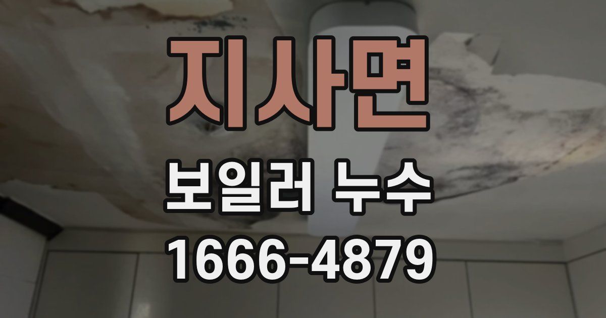 지사면 보일러 누수