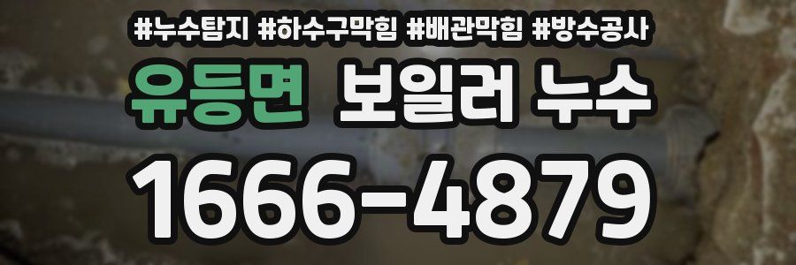 유등면 보일러 누수
