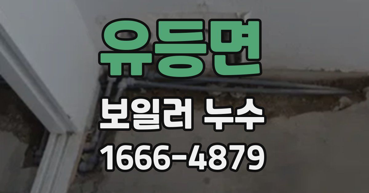 유등면 보일러 누수