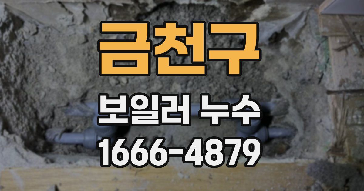 금천구 보일러 누수