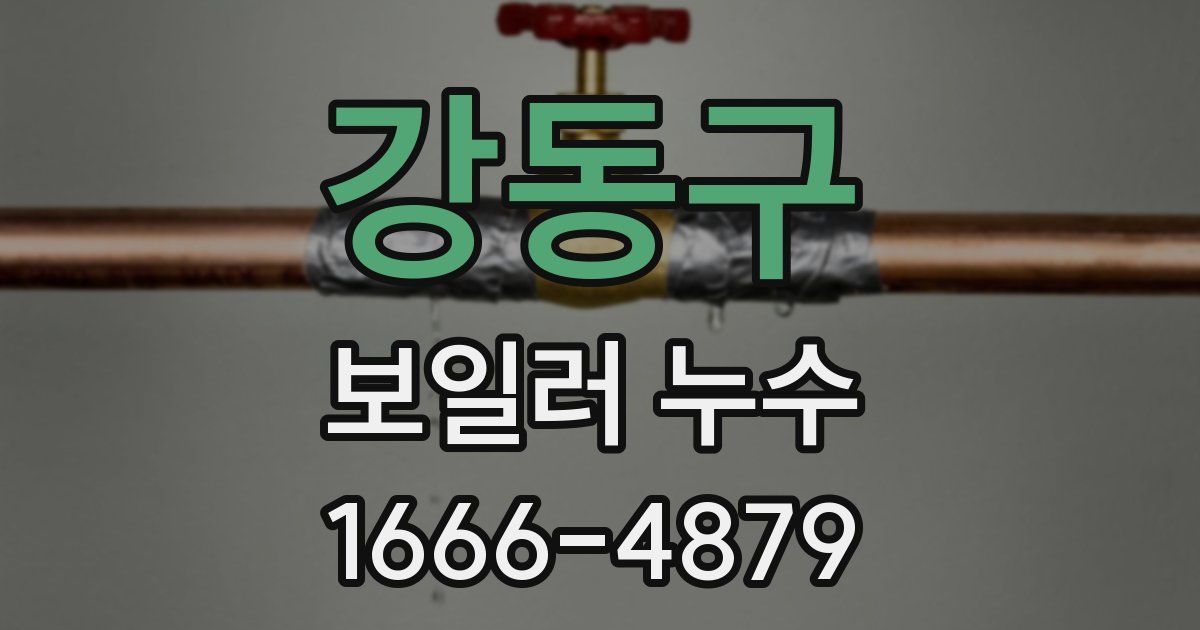 강동구 보일러 누수