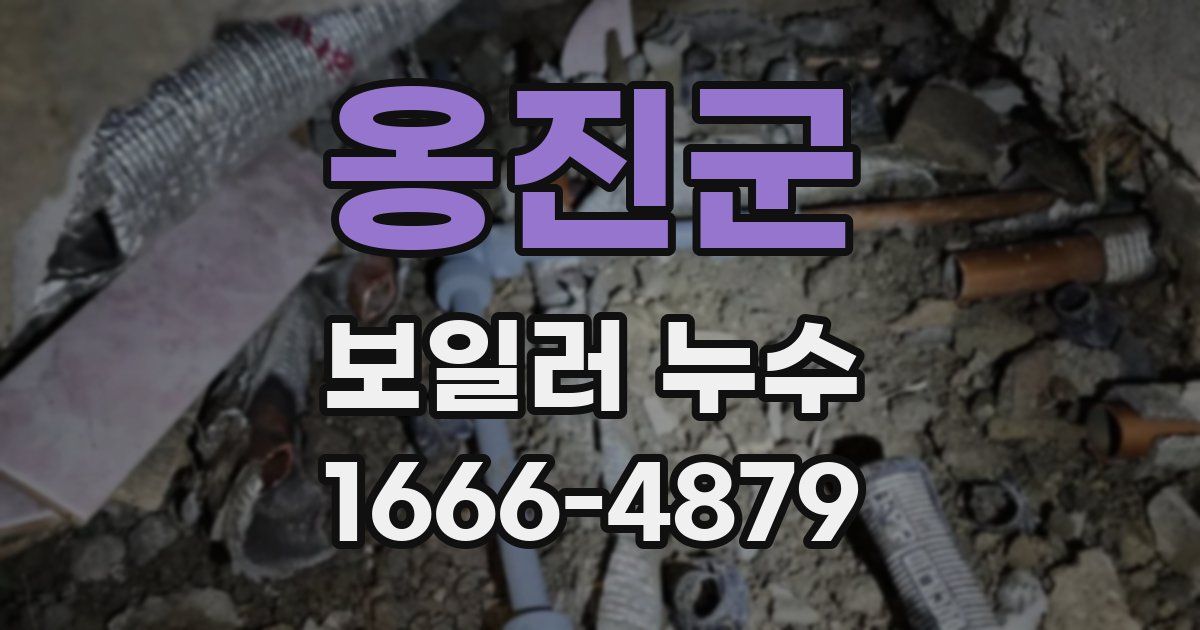 옹진군 보일러 누수