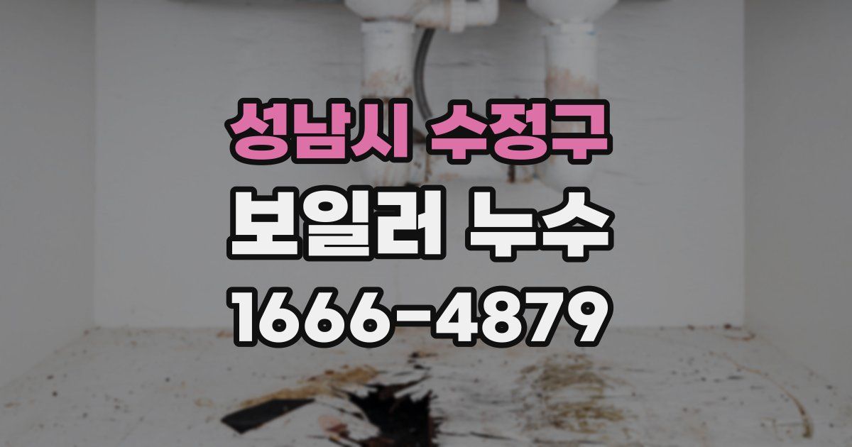 성남시 수정구 보일러 누수