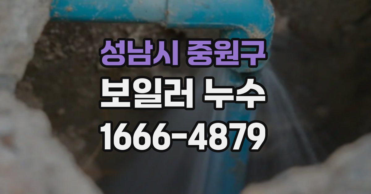 성남시 중원구 보일러 누수